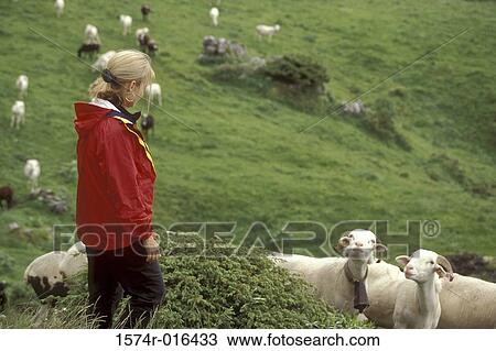 Stock Image - France. Fotosearch