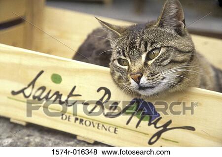 France View Large Photo Image Stock Photo - France. Fotosearch