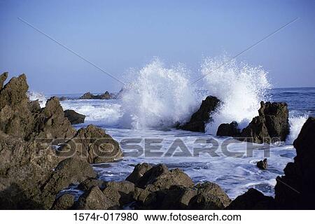 Gull Rock California USA View Large Photo Image Stock Image - Gull Rock California USA. Fotosearch
