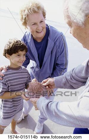 High angle view of a grandson showing a seashell to his grandparents on the beach View Large Photo Image Stock Image - High angle view of a grandson showing a seashell to his grandparents on the beach. Fotosearch