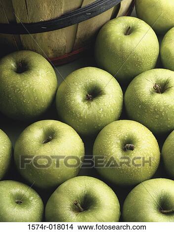 High angle view of green apples View Large Photo Image Picture - High angle view of green apples. Fotosearch