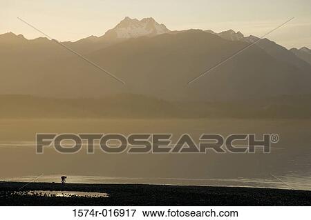 Hood Canal Olympic Mountains Washington, USA View Large Photo Image Stock Photo - Hood Canal Olympic Mountains Washington, USA. Fotosearch