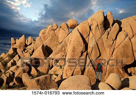 Joshua Tree National Park California USA View Large Photo Image Stock Image - Joshua Tree National Park California USA. Fotosearch