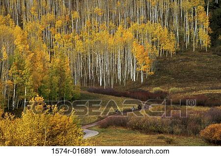 Kebler Pass Colorado USA View Large Photo Image Stock Image - Kebler Pass Colorado USA. Fotosearch