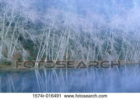 Stock Image - Lake Crescent Olympic National Park Washington USA. Fotosearch