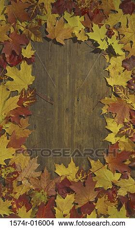 Picture - Leaves on a wooden floor. Fotosearch