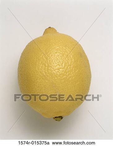 Lemon View Large Photo Image Stock Image - Lemon. Fotosearch