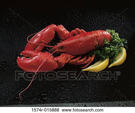Lobster View Large Photo Image Stock Photo - Lobster. Fotosearch