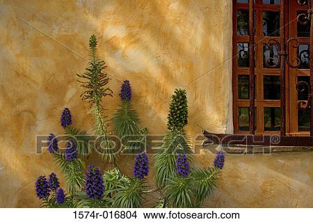 Mission San Carlos Borromeo de Carmelo Carmel California USA View Large Photo Image Picture - Mission San Carlos Borromeo de Carmelo Carmel California USA. Fotosearch