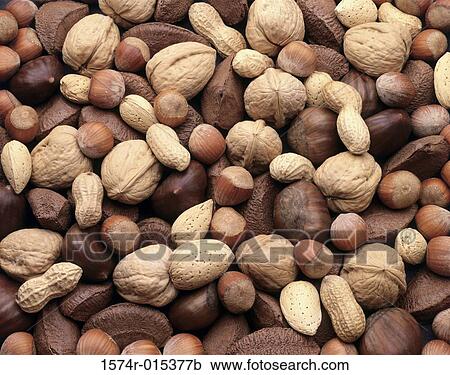Mixed Nuts View Large Photo Image Stock Image - Mixed Nuts. Fotosearch