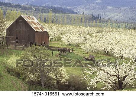 Stock Image - Mosier Oregon USA. Fotosearch