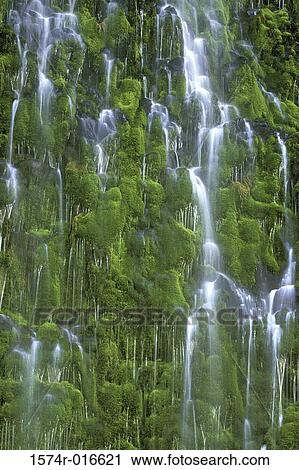 Mossbrae Falls California USA View Large Photo Image Stock Image - Mossbrae Falls California USA. Fotosearch
