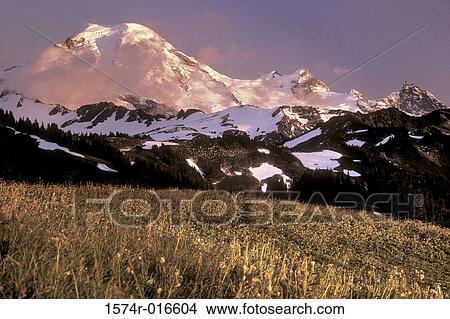 Mount Baker Washington USA View Large Photo Image Picture - Mount Baker Washington USA. Fotosearch