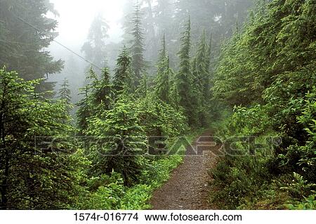 Mount Baker Wilderness Washington USA View Large Photo Image Picture - Mount Baker Wilderness Washington USA. Fotosearch