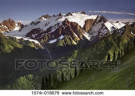 Mount Olympus Olympic National Park Washington USA View Large Photo Image Stock Photo - Mount Olympus Olympic National Park Washington USA. Fotosearch