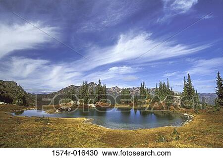Stock Image - Mount Rainier National Park Washington USA. Fotosearch