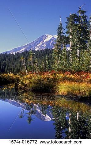 Stock Image - Mount Rainier National Park Washington USA. Fotosearch