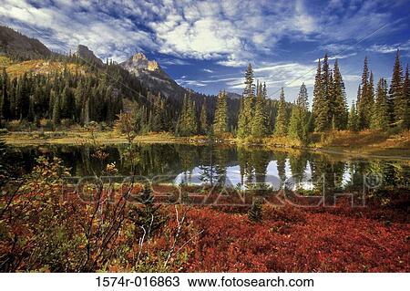 Mount Rainier National Park Washington USA View Large Photo Image Stock Image - Mount Rainier National Park Washington USA. Fotosearch