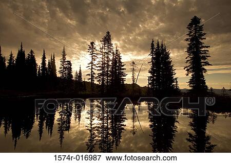 Stock Photo - Mount Rainier National Park Washington USA. Fotosearch