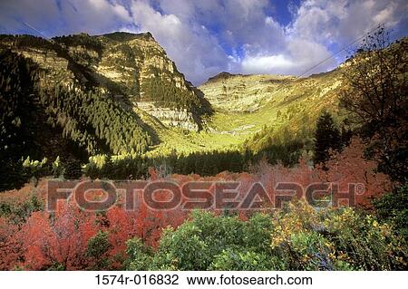 Mount Timpanogos Wilderness Utah USA View Large Photo Image Stock Image - Mount Timpanogos Wilderness Utah USA. Fotosearch