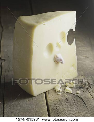 Mouse in cheese View Large Photo Image Stock Image - Mouse in cheese. Fotosearch