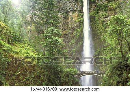 Multnomah Falls Columbia River Gorge National Scenic Area Oregon USA View Large Photo Image Stock Photo - Multnomah Falls Columbia River Gorge National Scenic Area Oregon USA. Fotosearch