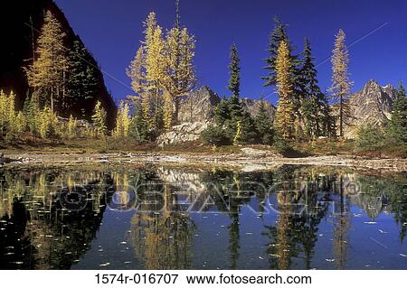 North Cascades National Park Washington USA View Large Photo Image Stock Photo - North Cascades National Park Washington USA. Fotosearch