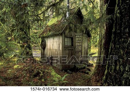 Olympic National Park Washington USA View Large Photo Image Picture - Olympic National Park Washington USA. Fotosearch