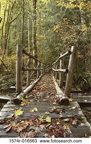 Stock Image - Olympic National Park Washington USA. Fotosearch