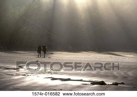 Olympic National Park Washington USA View Large Photo Image Stock Image - Olympic National Park Washington USA. Fotosearch