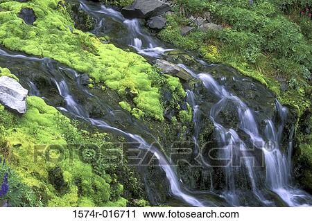 Stock Image - Olympic National Park Washington USA. Fotosearch