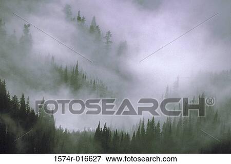 Olympic National Park Washington USA View Large Photo Image Stock Photo - Olympic National Park Washington USA. Fotosearch