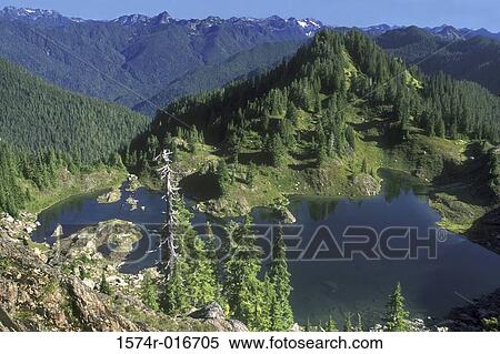 Olympic National Park Washington USA View Large Photo Image Stock Photography - Olympic National Park Washington USA. Fotosearch