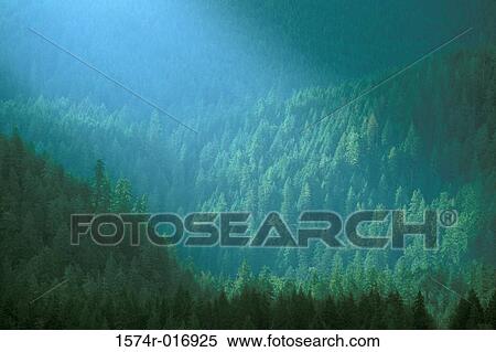 Olympic National Park Washington USA View Large Photo Image Stock Photography - Olympic National Park Washington USA. Fotosearch