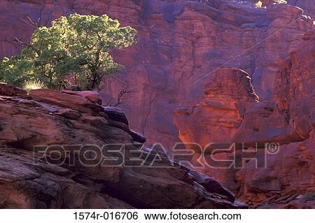 Onion Creek Utah USA View Large Photo Image Stock Photograph - Onion Creek Utah USA. Fotosearch