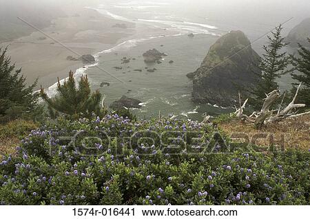 Oregon USA View Large Photo Image Stock Image - Oregon USA. Fotosearch