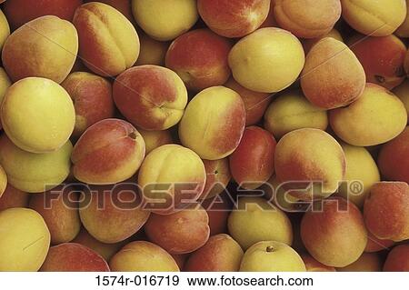 Peaches View Large Photo Image Stock Photo - Peaches. Fotosearch