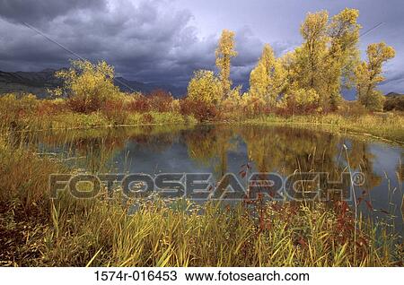 Stock Image - Peggy's Pond Jackson Hole Wyoming USA. Fotosearch