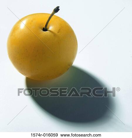 Plum View Large Photo Image Stock Photo - Plum. Fotosearch