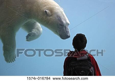 Picture - Point Defiance Zoo and Aquarium Tacoma Washington, USA. Fotosearch