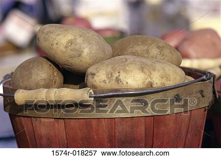 Potatoes View Large Photo Image Stock Photo - Potatoes. Fotosearch