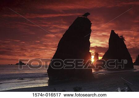Rialto Beach Olympic National Park Washington USA View Large Photo Image Stock Photo - Rialto Beach Olympic National Park Washington USA. Fotosearch