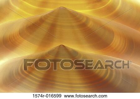 Seashells View Large Photo Image Stock Photo - Seashells. Fotosearch