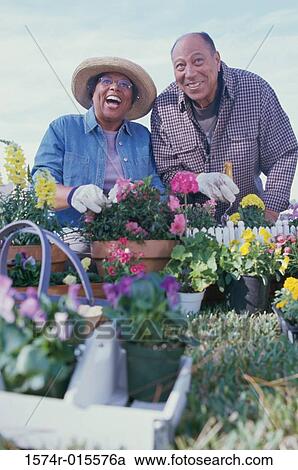 Senior couple gardening in a garden View Large Photo Image Stock Image - Senior couple gardening in a garden. Fotosearch