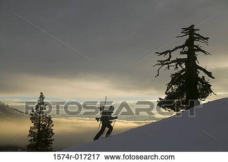 Side profile of a person walking on a snow covered landscape View Large Photo Image Stock Photo - Side profile of a person walking on a snow covered landscape. Fotosearch