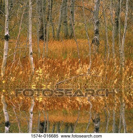 Stock Photography - Sierra Nevada Mountains California USA. Fotosearch