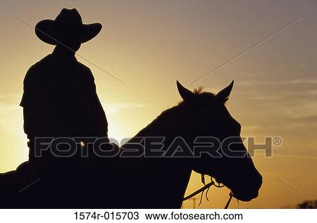 Silhouette of a cowboy sitting on a horse View Large Photo Image Stock Image - Silhouette of a cowboy sitting on a horse. Fotosearch
