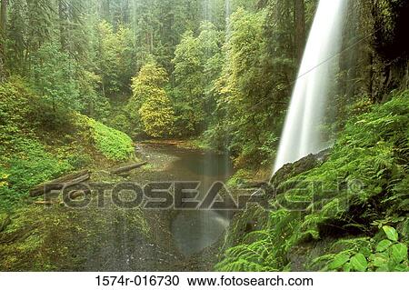 Silver Falls State Park Oregon USA View Large Photo Image Stock Image - Silver Falls State Park Oregon USA. Fotosearch