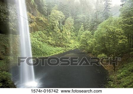 Silver Falls State Park Oregon USA View Large Photo Image Stock Image - Silver Falls State Park Oregon USA. Fotosearch