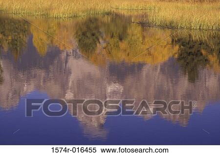 Snake River Grand Teton National Park Wyoming USA View Large Photo Image Stock Photography - Snake River Grand Teton National Park Wyoming USA. Fotosearch
